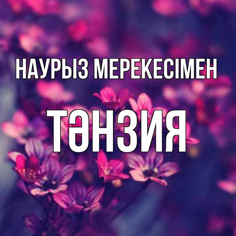 Күн сайын ашық хат с именем, ТӘНЗИЯ Наурыз мерекесімен небольшие цветы 1 Онлайн тегін жүктеп алу тілектері бар керемет карта 