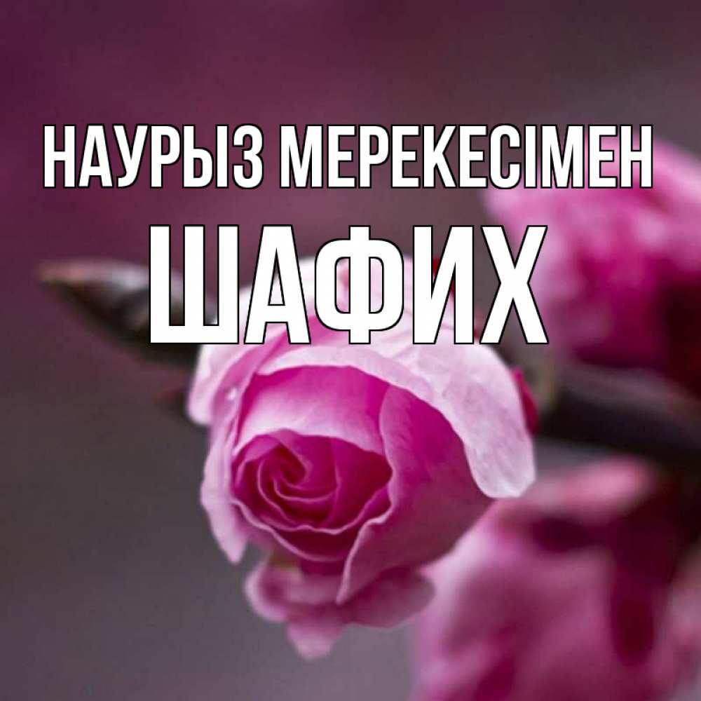 Күн сайын ашық хат с именем, ШАФИХ Наурыз мерекесімен весна Онлайн тегін жүктеп алу тілектері бар керемет карта 