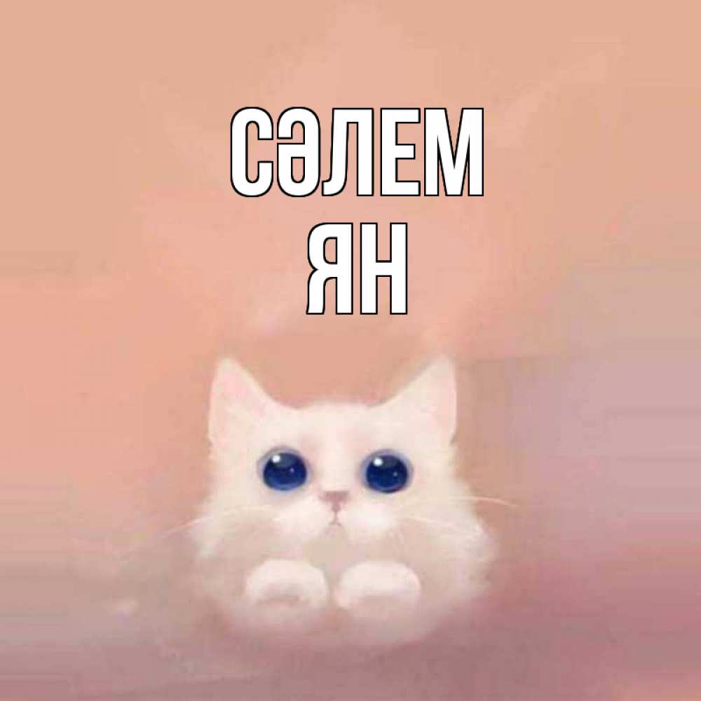 Күн сайын ашық хат с именем, Ян Сәлем котик белый в полете Онлайн тегін жүктеп алу тілектері бар керемет карта 