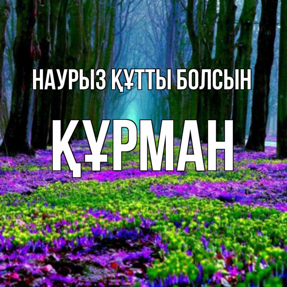 Күн сайын ашық хат с именем, ҚҰРМАН Наурыз құтты болсын фиолетовые цветы в лесу 1 Онлайн тегін жүктеп алу тілектері бар керемет карта 
