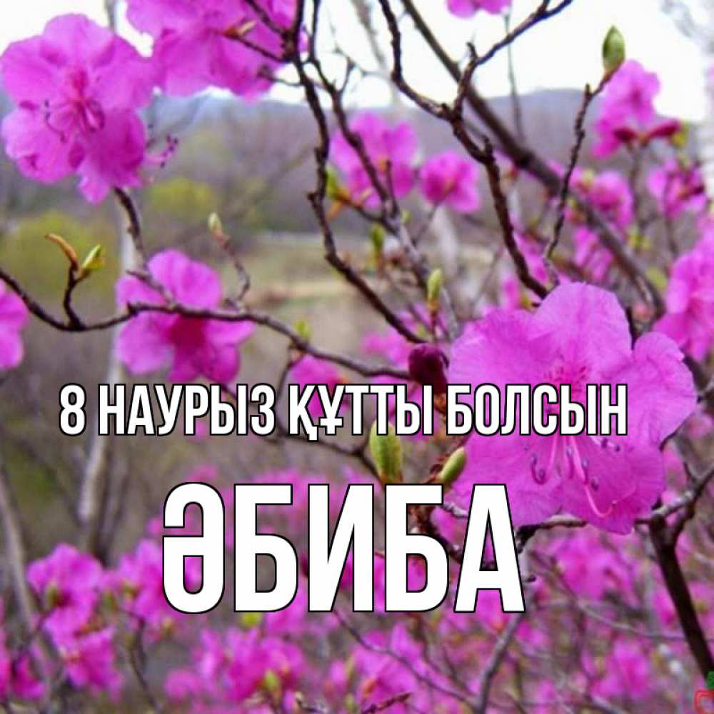 Күн сайын ашық хат с именем, ӘБИБА 8 наурыз құтты болсын международный женский день Онлайн тегін жүктеп алу тілектері бар керемет карта 