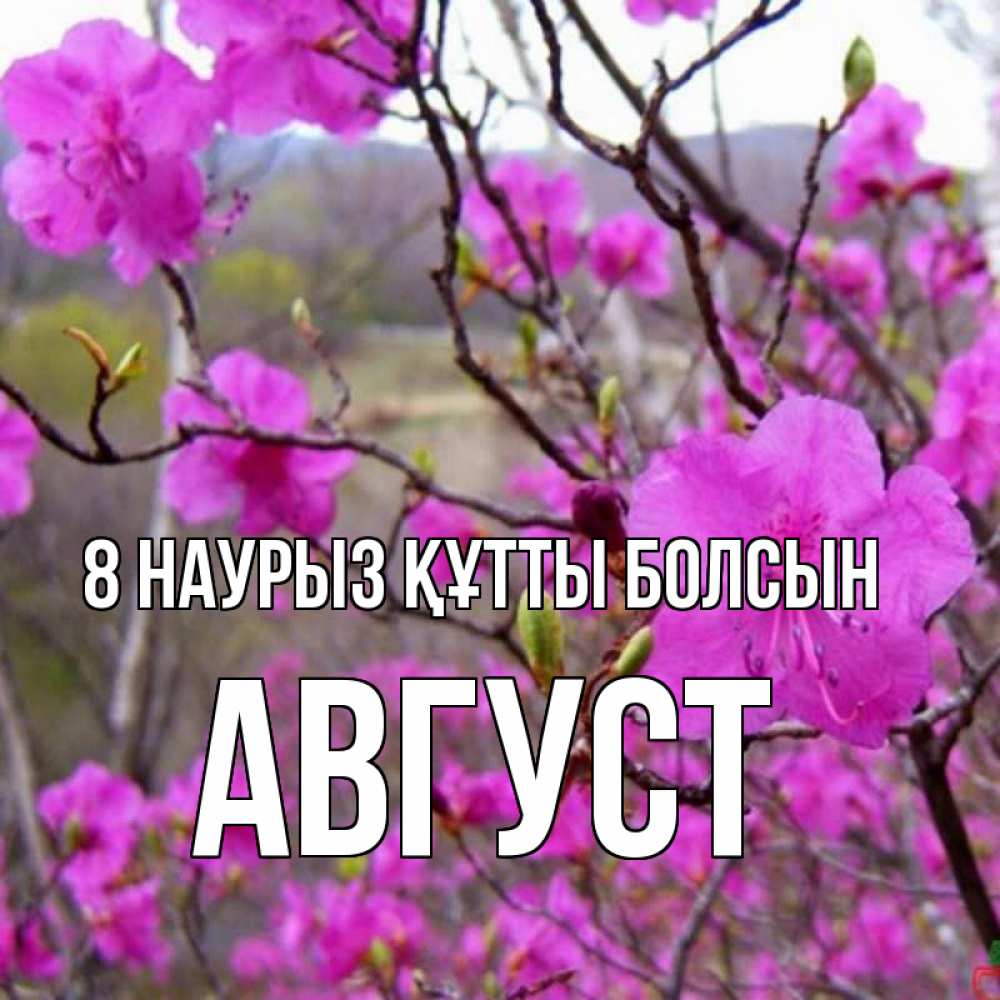 Күн сайын ашық хат с именем, Август 8 наурыз құтты болсын международный женский день Онлайн тегін жүктеп алу тілектері бар керемет карта 