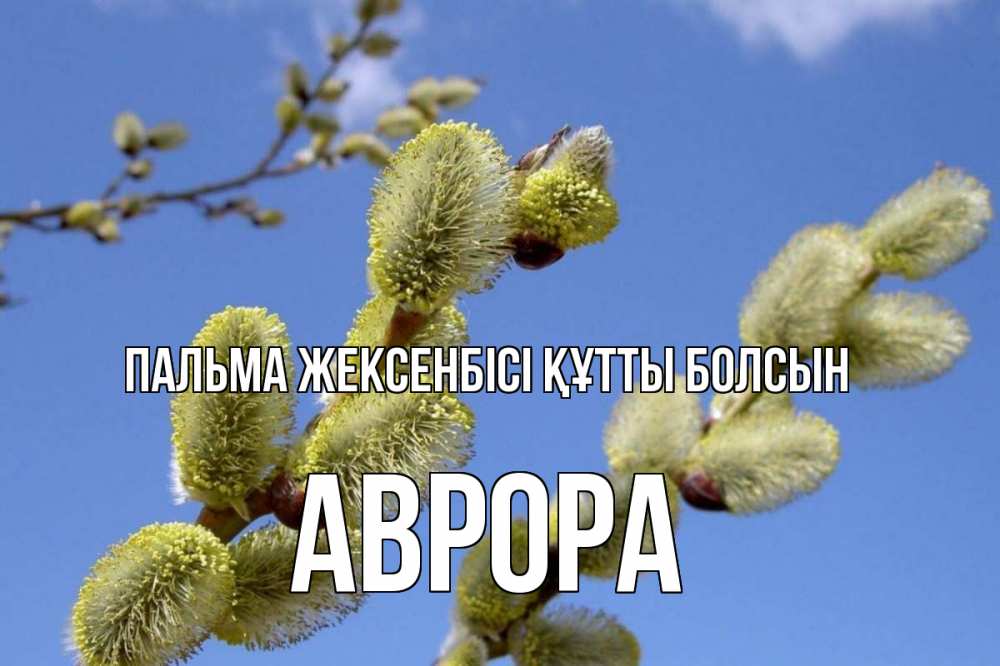 Күн сайын ашық хат с именем, Аврора Пальма жексенбісі құтты болсын верба Онлайн тегін жүктеп алу тілектері бар керемет карта 
