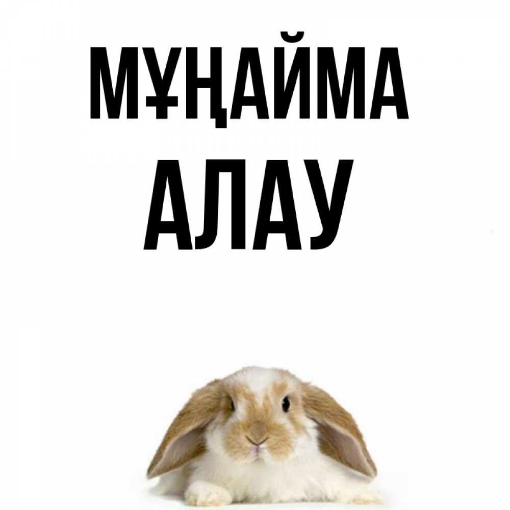 Күн сайын ашық хат с именем, Алау Мұңайма коричнево белый заяц с большими ушками Онлайн тегін жүктеп алу тілектері бар керемет карта 