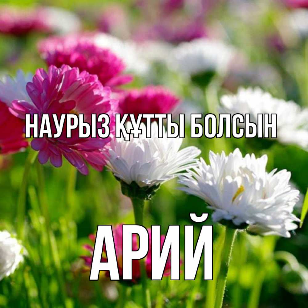 Күн сайын ашық хат с именем, Арий Наурыз құтты болсын наурыз Онлайн тегін жүктеп алу тілектері бар керемет карта 