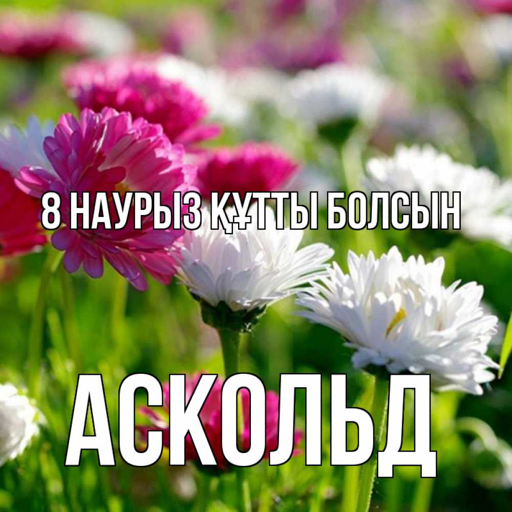 Күн сайын ашық хат с именем, Аскольд 8 наурыз құтты болсын международный женский день 1 Онлайн тегін жүктеп алу тілектері бар керемет карта 