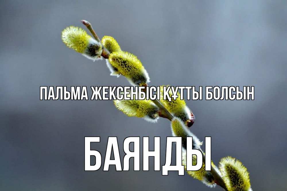Күн сайын ашық хат с именем, Баянды Пальма жексенбісі құтты болсын верба Онлайн тегін жүктеп алу тілектері бар керемет карта 