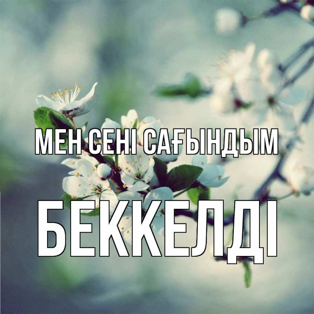 Күн сайын ашық хат с именем, Беккелді Мен сені сағындым весна Онлайн тегін жүктеп алу тілектері бар керемет карта 