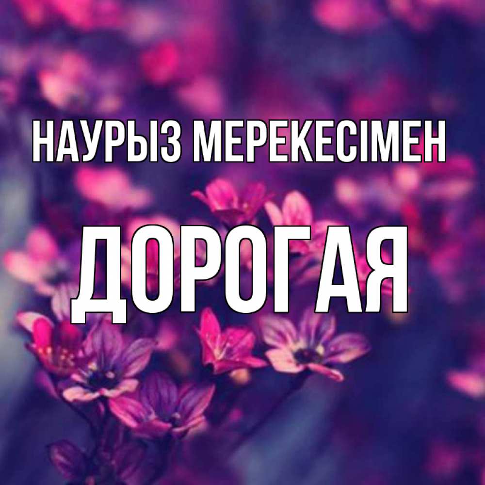 Күн сайын ашық хат с именем, Дорогая Наурыз мерекесімен небольшие цветы 1 Онлайн тегін жүктеп алу тілектері бар керемет карта 