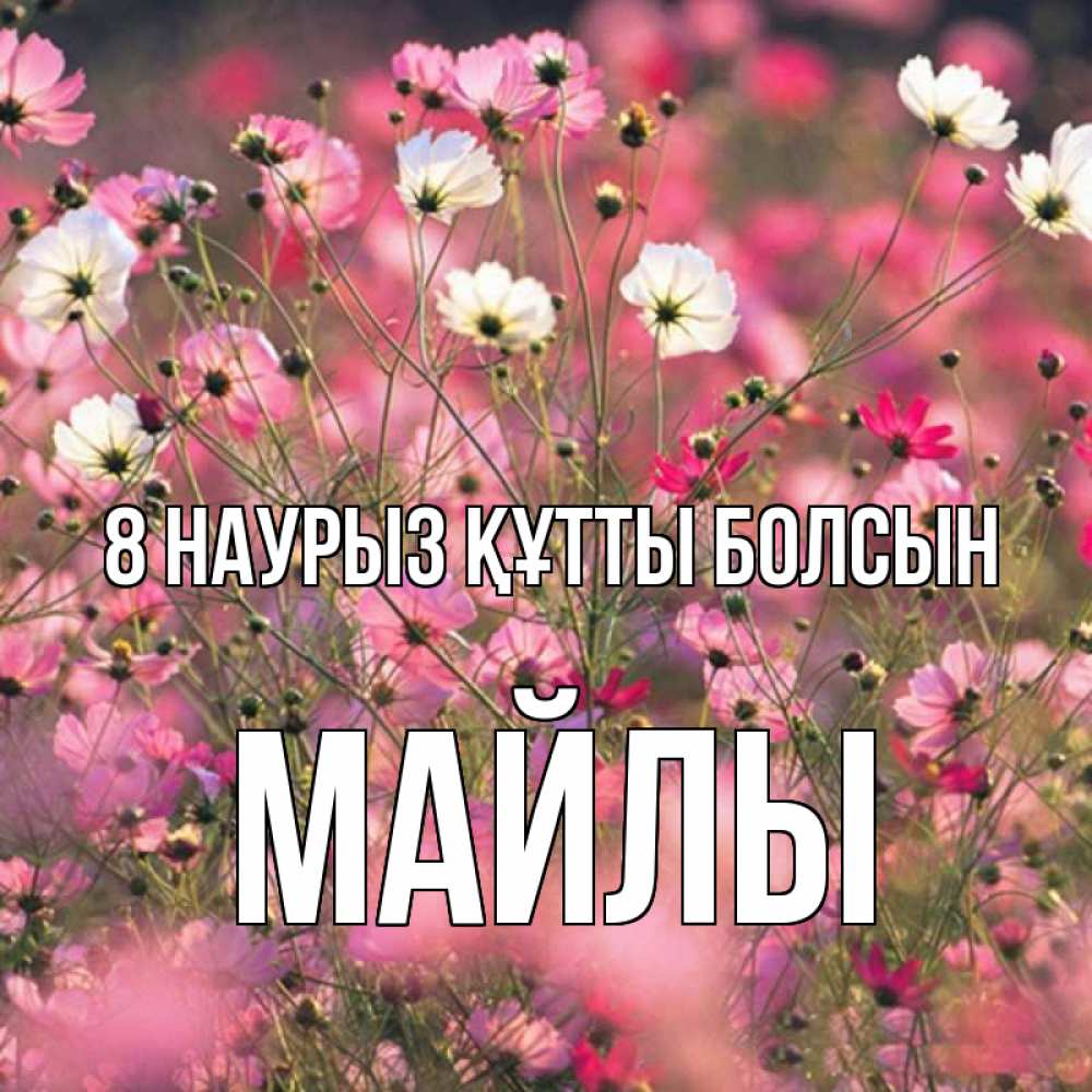 Күн сайын ашық хат с именем, МАЙЛЫ 8 наурыз құтты болсын красиво 1 Онлайн тегін жүктеп алу тілектері бар керемет карта 