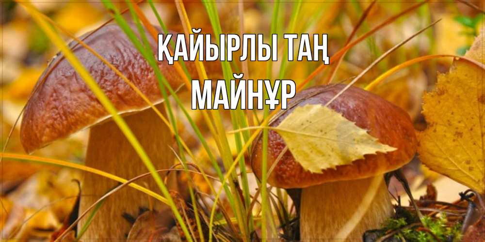 Күн сайын ашық хат с именем, МАЙНҰР Қайырлы таң осенние грибы Онлайн тегін жүктеп алу тілектері бар керемет карта 