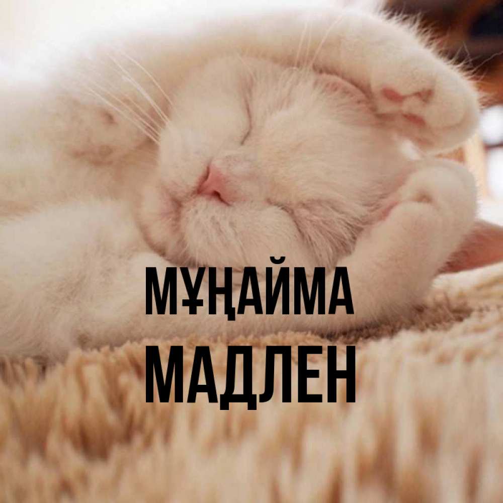 Күн сайын ашық хат с именем, Мадлен Мұңайма Котенок спит Онлайн тегін жүктеп алу тілектері бар керемет карта 