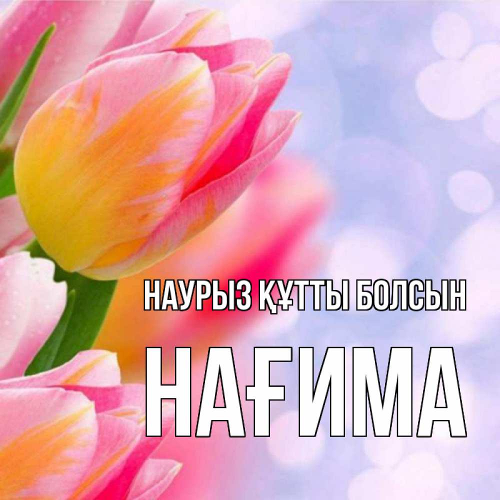Күн сайын ашық хат с именем, НАҒИМА Наурыз құтты болсын тюльпаны 2 Онлайн тегін жүктеп алу тілектері бар керемет карта 
