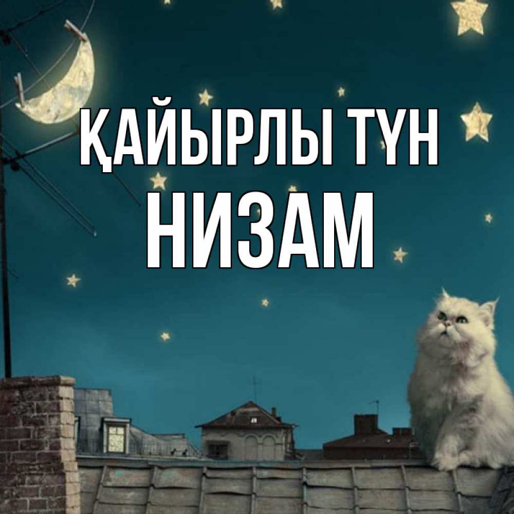 Күн сайын ашық хат с именем, НИЗАМ Қайырлы түн белый кот сидит на крыше Онлайн тегін жүктеп алу тілектері бар керемет карта 