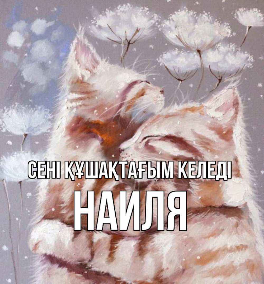 Күн сайын ашық хат с именем, Наиля сені құшақтағым келеді Море и горы Онлайн тегін жүктеп алу тілектері бар керемет карта 