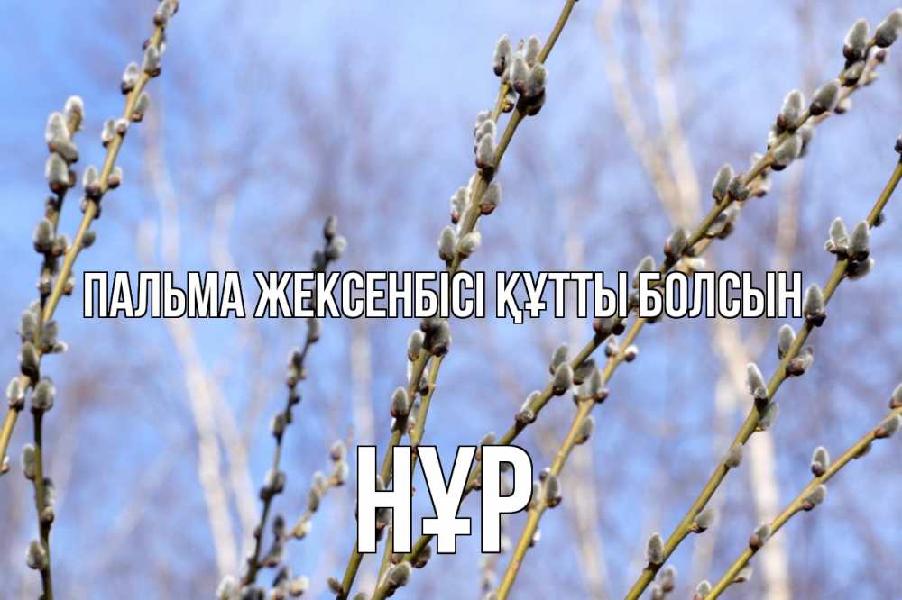 Күн сайын ашық хат с именем, НҰР Пальма жексенбісі құтты болсын верба Онлайн тегін жүктеп алу тілектері бар керемет карта 