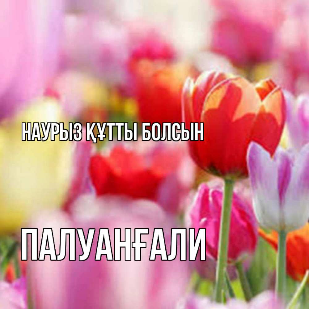 Күн сайын ашық хат с именем, ПАЛУАНҒАЛИ Наурыз құтты болсын на наурыз  2 Онлайн тегін жүктеп алу тілектері бар керемет карта 