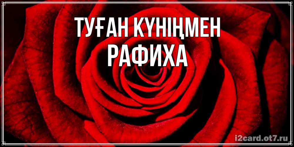 Күн сайын ашық хат с именем, РАФИХА Туған күніңмен алая роза Онлайн тегін жүктеп алу тілектері бар керемет карта 