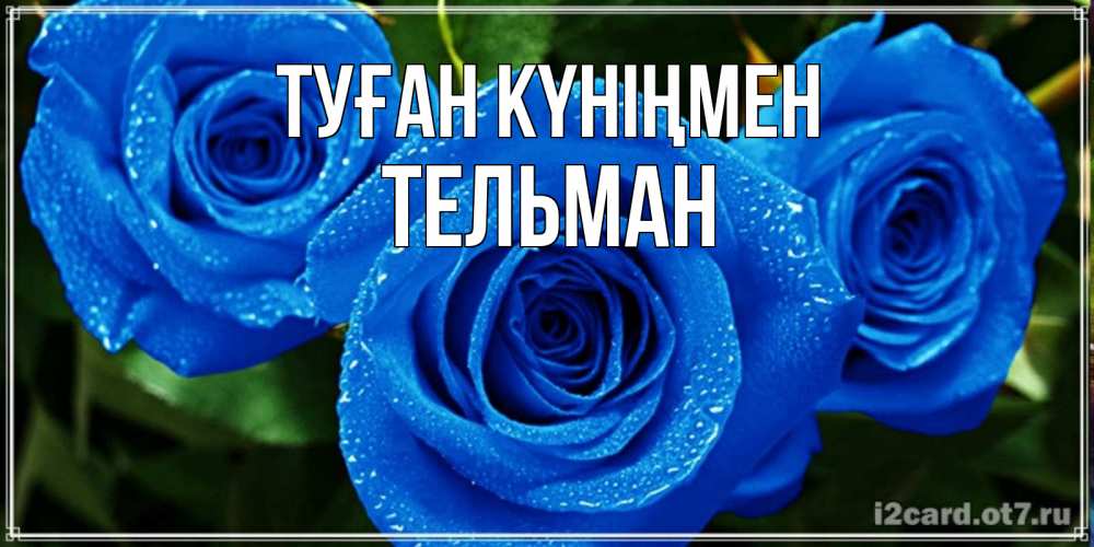 Күн сайын ашық хат с именем, Тельман Туған күніңмен розы с синим цветом Онлайн тегін жүктеп алу тілектері бар керемет карта 