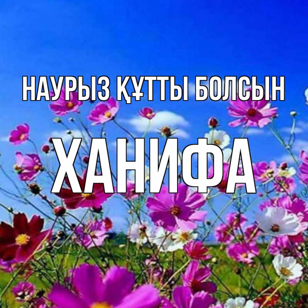 Күн сайын ашық хат с именем, ХАНИФА Наурыз құтты болсын цветы Онлайн тегін жүктеп алу тілектері бар керемет карта 