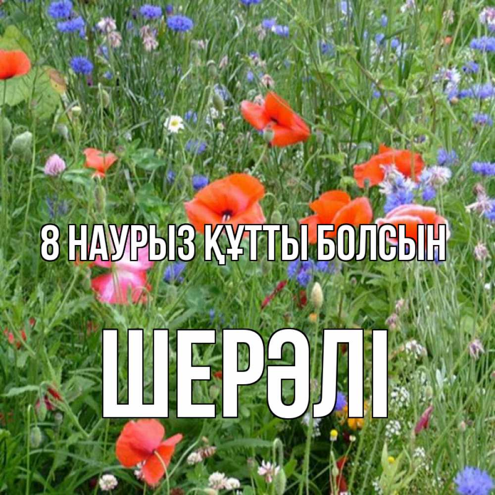 Күн сайын ашық хат с именем, ШЕРӘЛІ 8 наурыз құтты болсын международный женский день 4 Онлайн тегін жүктеп алу тілектері бар керемет карта 