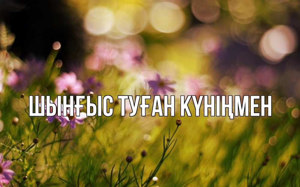 Картинка  с именем , ШЫНҒЫС! ТУҒАН КҮНІҢМЕН!
