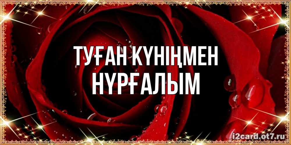 Күн сайын ашық хат с именем, НҮРҒАЛЫМ Туған күніңмен цветок в росе на день рождения Онлайн тегін жүктеп алу тілектері бар керемет карта 