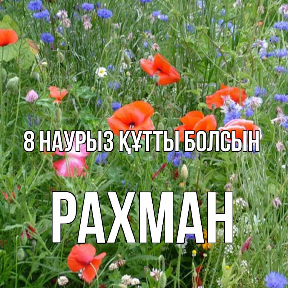 Күн сайын ашық хат с именем, РАХМАН 8 наурыз құтты болсын международный женский день 4 Онлайн тегін жүктеп алу тілектері бар керемет карта 