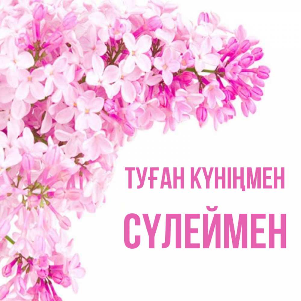 Күн сайын ашық хат с именем, СҮЛЕЙМЕН Туған күніңмен Сирень на белом фоне Онлайн тегін жүктеп алу тілектері бар керемет карта 