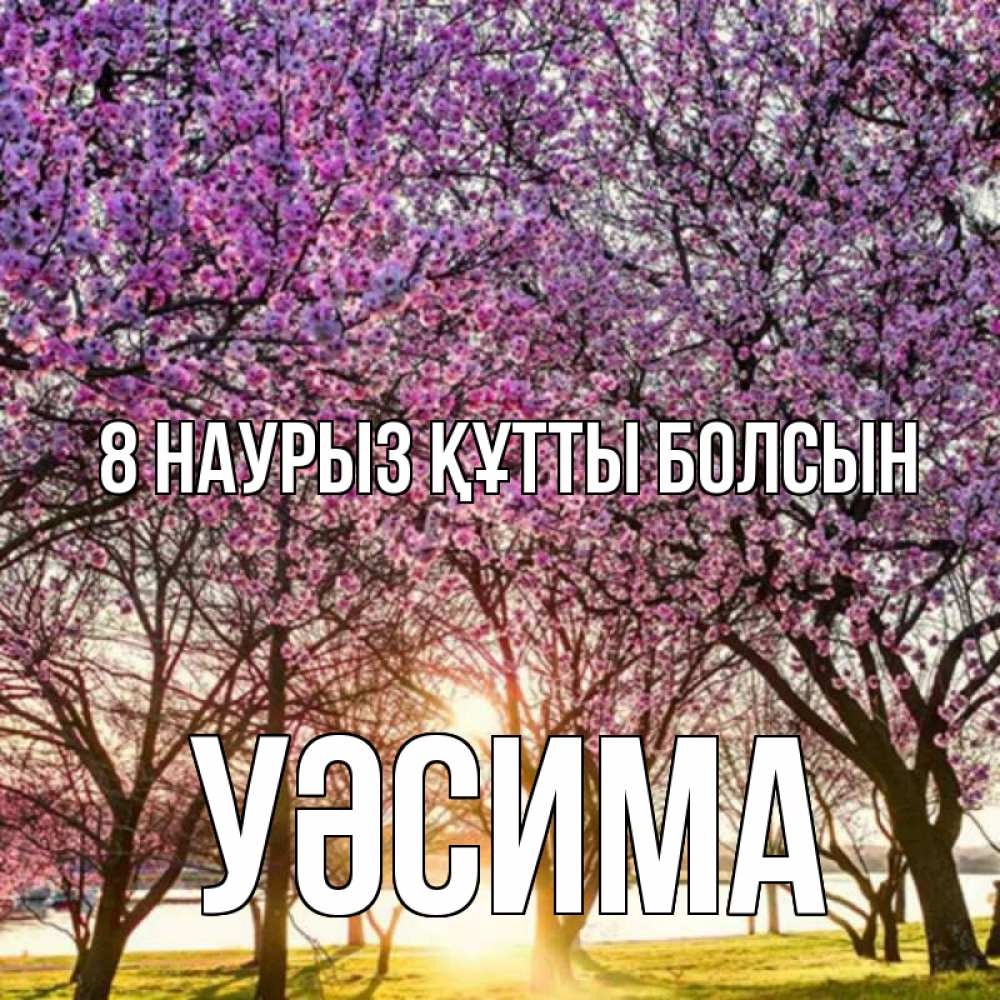 Күн сайын ашық хат с именем, УӘСИМА 8 наурыз құтты болсын международный женский день Онлайн тегін жүктеп алу тілектері бар керемет карта 