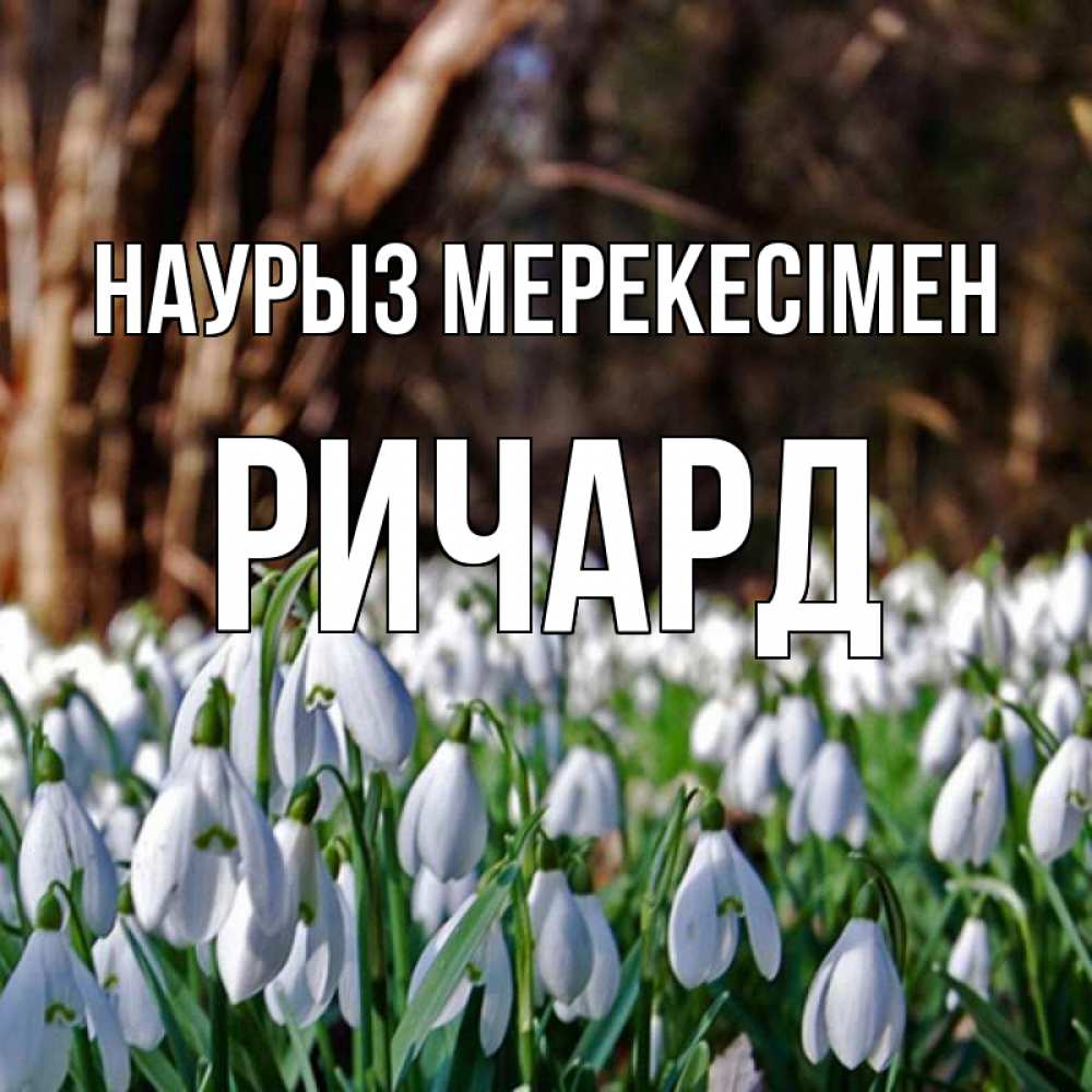 Күн сайын ашық хат с именем, Ричард Наурыз мерекесімен с подснежниками 1 Онлайн тегін жүктеп алу тілектері бар керемет карта 