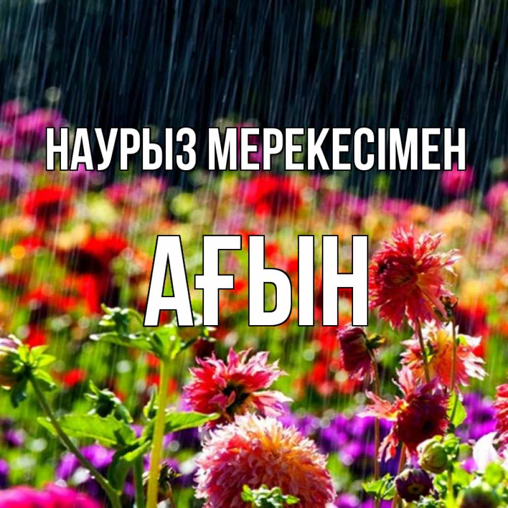 Күн сайын ашық хат с именем, Ағын Наурыз мерекесімен цветы под дождиком к международному женскому дню Онлайн тегін жүктеп алу тілектері бар керемет карта 