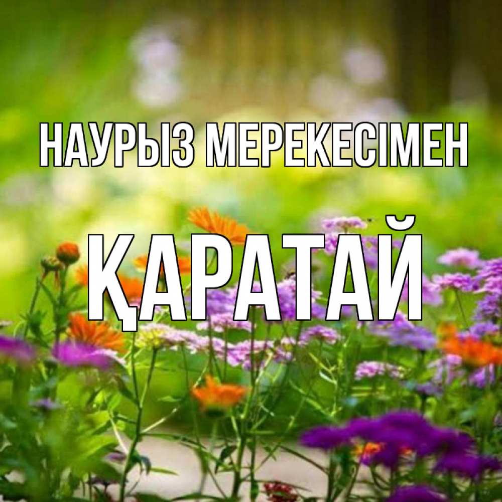 Күн сайын ашық хат с именем, Қаратай Наурыз мерекесімен цветы Онлайн тегін жүктеп алу тілектері бар керемет карта 