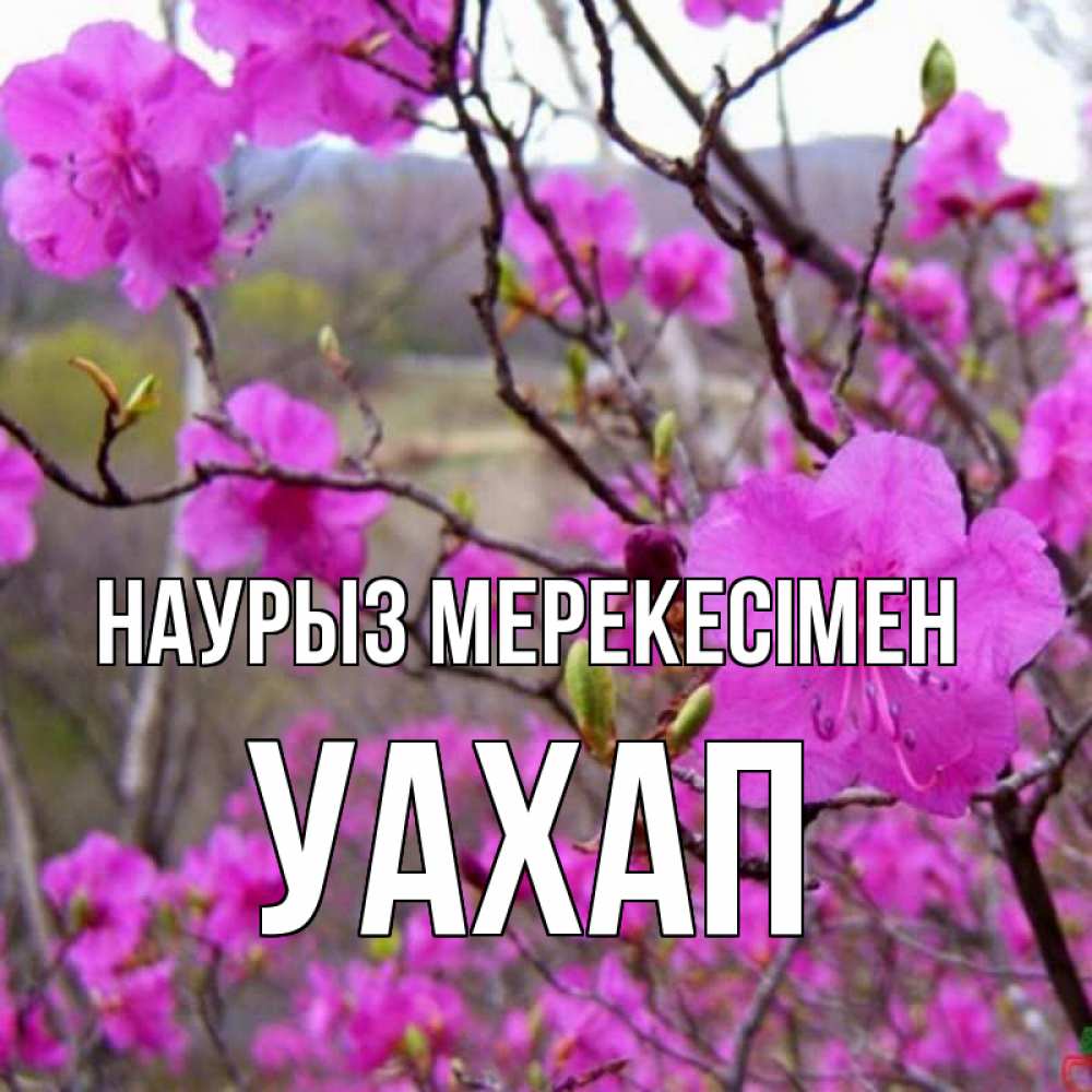 Күн сайын ашық хат с именем, УАХАП Наурыз мерекесімен праздник весны наурыз Онлайн тегін жүктеп алу тілектері бар керемет карта 