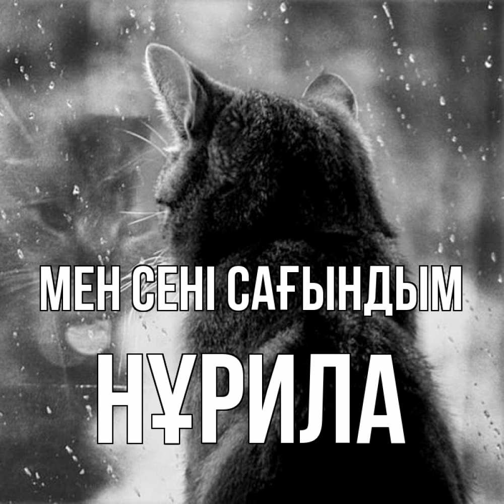 Күн сайын ашық хат с именем, НҰРИЛА Мен сені сағындым скорее ко мне приходи 1 Онлайн тегін жүктеп алу тілектері бар керемет карта 