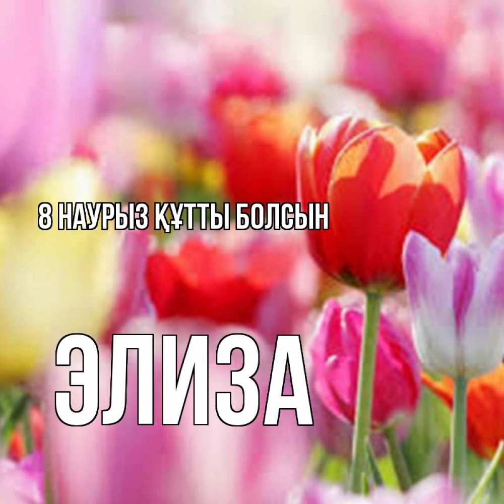 Күн сайын ашық хат с именем, Элиза 8 наурыз құтты болсын на международный женский день 2 Онлайн тегін жүктеп алу тілектері бар керемет карта 