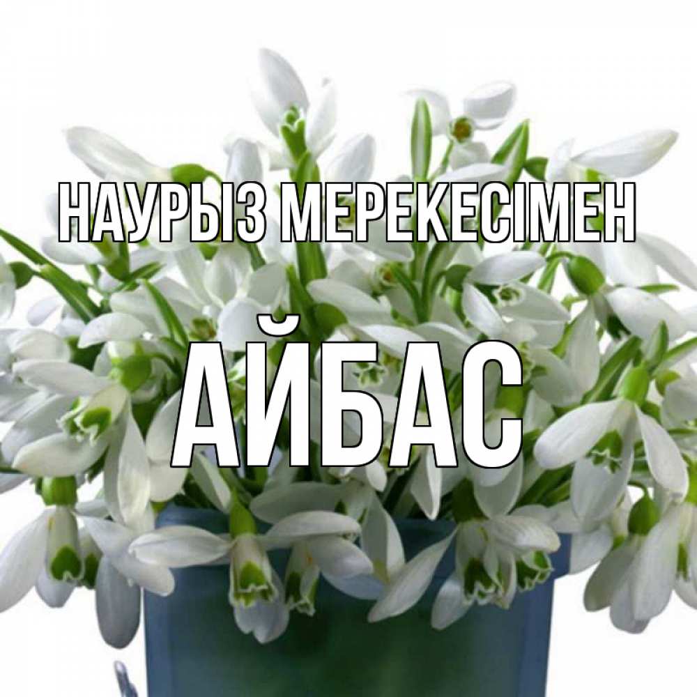 Күн сайын ашық хат с именем, Айбас Наурыз мерекесімен цветы к наурызу новый год в Казахстане Онлайн тегін жүктеп алу тілектері бар керемет карта 