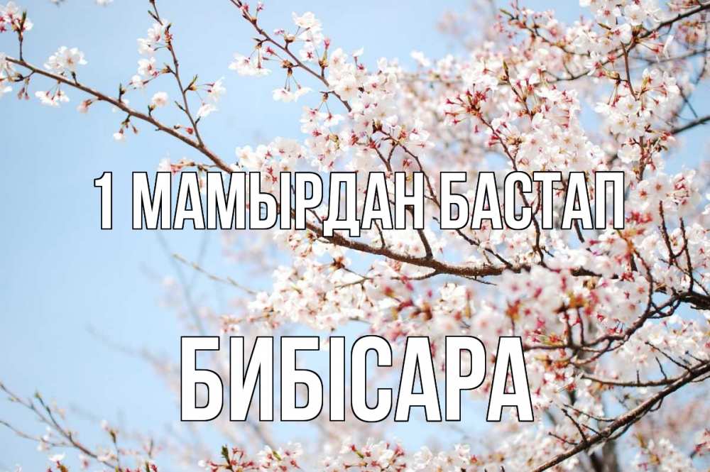 Күн сайын ашық хат с именем, БИБІСАРА 1 мамырдан бастап С 1 мая Онлайн тегін жүктеп алу тілектері бар керемет карта 