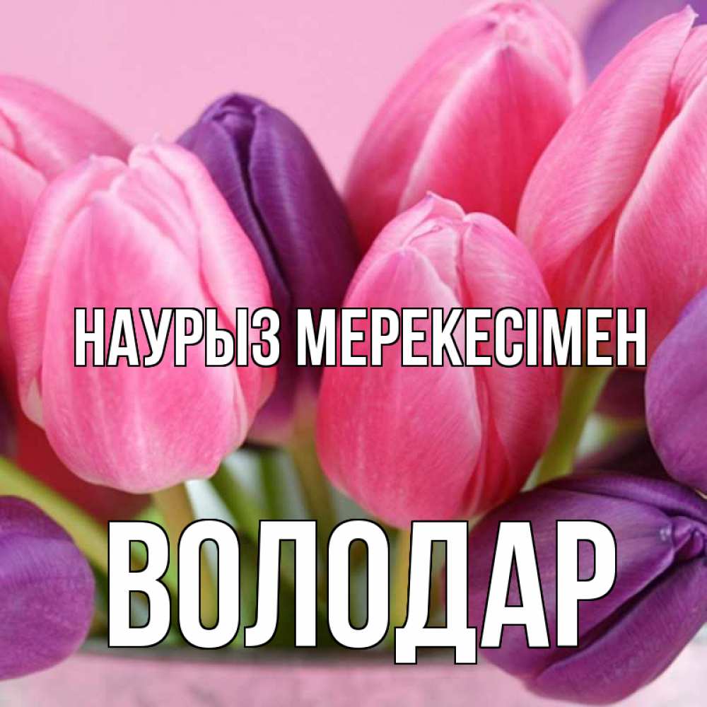 Күн сайын ашық хат с именем, Володар Наурыз мерекесімен маме 1 Онлайн тегін жүктеп алу тілектері бар керемет карта 