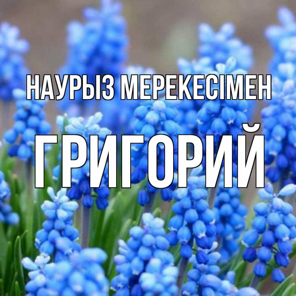 Күн сайын ашық хат с именем, Григорий Наурыз мерекесімен Поздравительная открытка для женщин с цветами на праздничную дату Онлайн тегін жүктеп алу тілектері бар керемет карта 