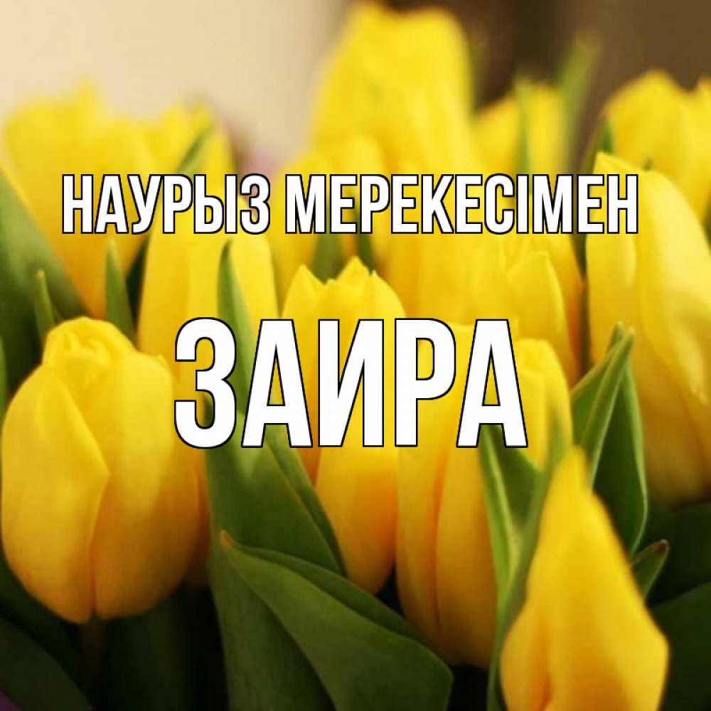 Күн сайын ашық хат с именем, Заира Наурыз мерекесімен цветы Онлайн тегін жүктеп алу тілектері бар керемет карта 