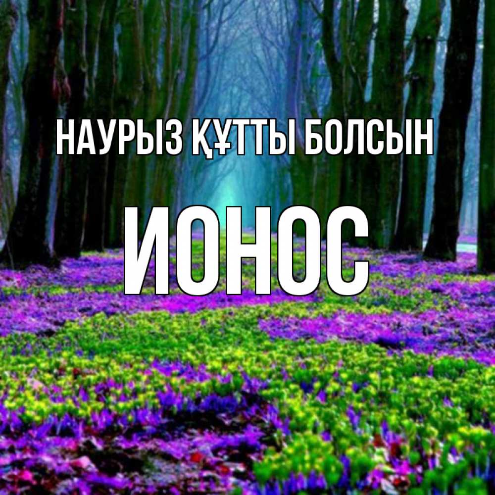 Күн сайын ашық хат с именем, Ионос Наурыз құтты болсын фиолетовые цветы в лесу 1 Онлайн тегін жүктеп алу тілектері бар керемет карта 