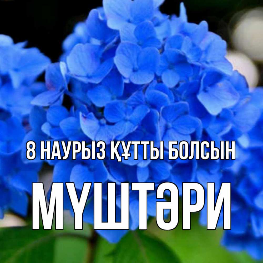 Күн сайын ашық хат с именем, МҮШТӘРИ 8 наурыз құтты болсын синие цветы Онлайн тегін жүктеп алу тілектері бар керемет карта 