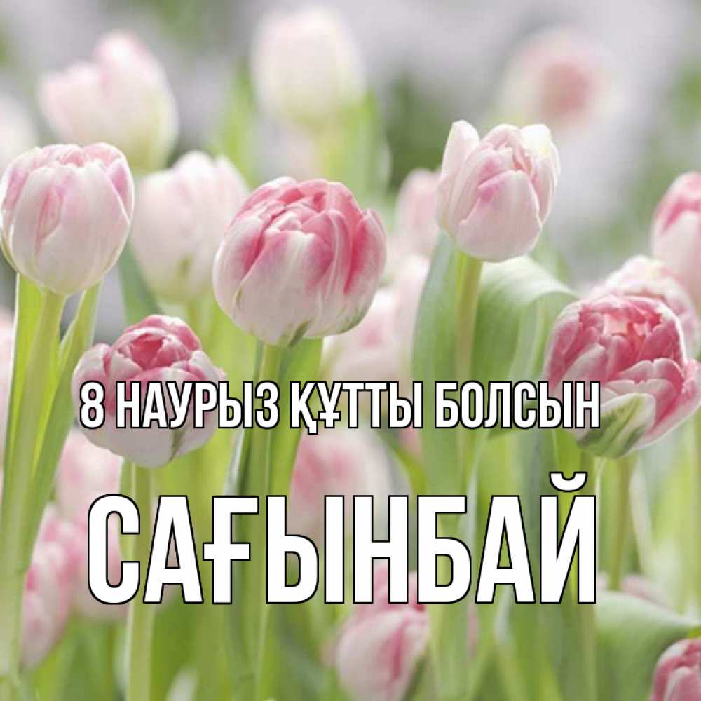 Күн сайын ашық хат с именем, Сағынбай 8 наурыз құтты болсын цветы Онлайн тегін жүктеп алу тілектері бар керемет карта 