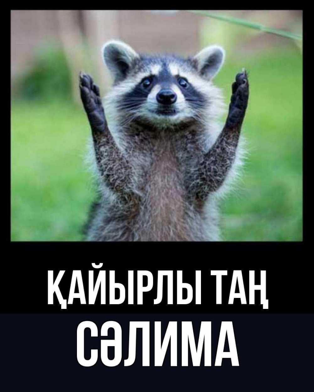 Күн сайын ашық хат с именем, СӘЛИМА Қайырлы таң хорошее настроение утречком Онлайн тегін жүктеп алу тілектері бар керемет карта 