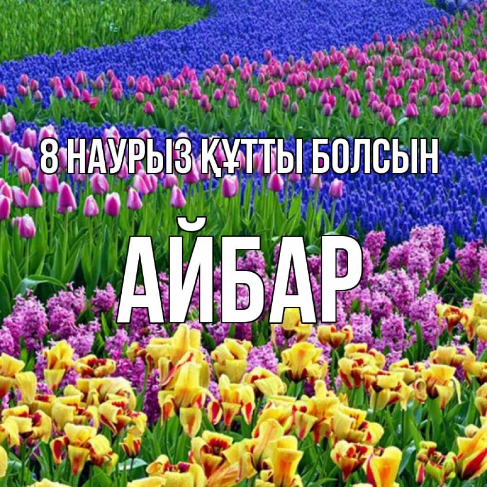 Күн сайын ашық хат с именем, Айбар 8 наурыз құтты болсын цветы Онлайн тегін жүктеп алу тілектері бар керемет карта 