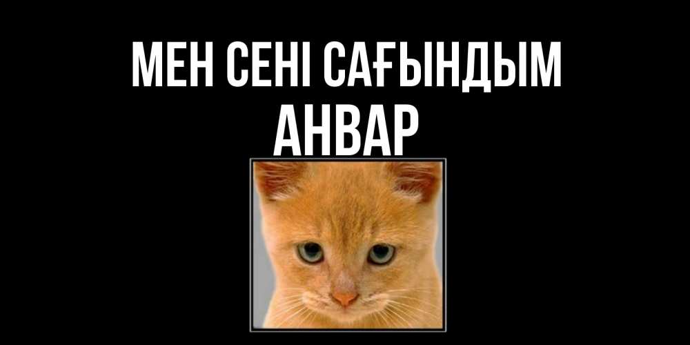 Күн сайын ашық хат с именем, Анвар Мен сені сағындым открытки рыжий котенок скучает по тебе Онлайн тегін жүктеп алу тілектері бар керемет карта 