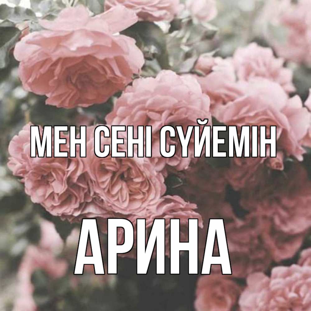 Күн сайын ашық хат с именем, Арина Мен сені сүйемін розы 3 Онлайн тегін жүктеп алу тілектері бар керемет карта 