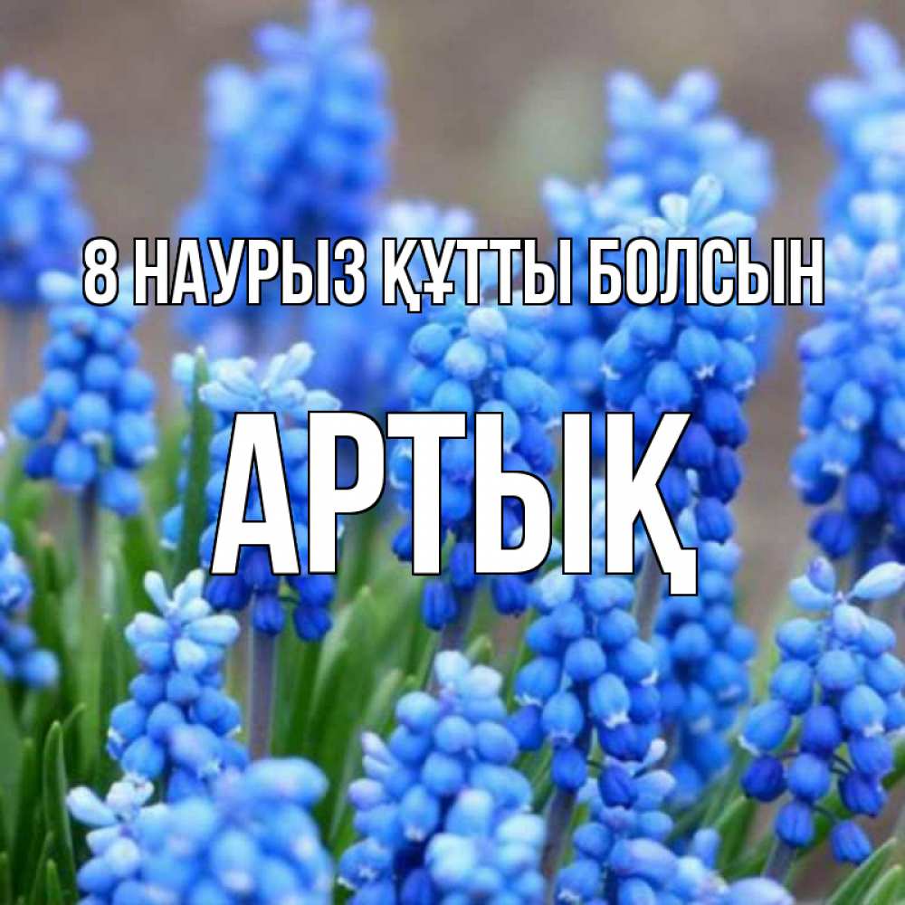 Күн сайын ашық хат с именем, Артық 8 наурыз құтты болсын Поздравительная открытка для женщин с цветами на праздничную дату Онлайн тегін жүктеп алу тілектері бар керемет карта 