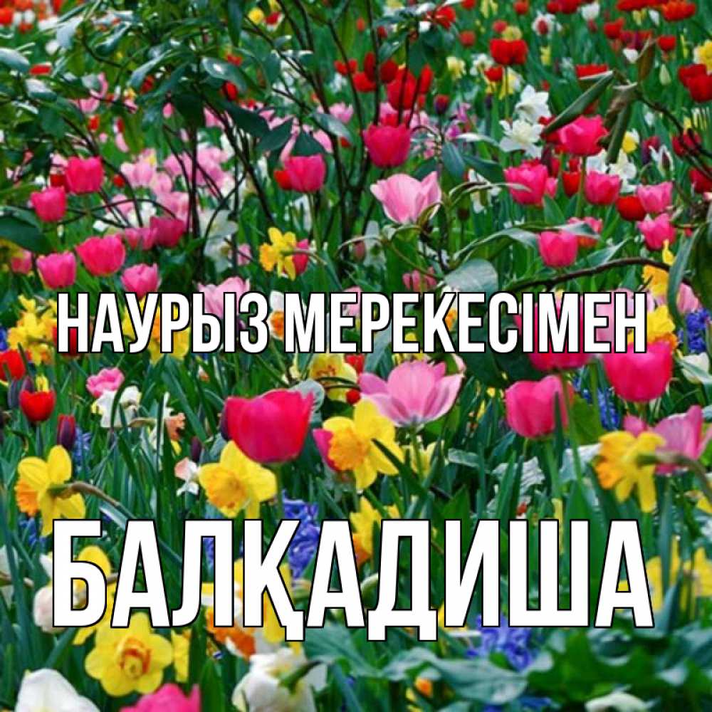 Күн сайын ашық хат с именем, БАЛҚАДИША Наурыз мерекесімен с наурызом праздником весны поздравления для женщины Онлайн тегін жүктеп алу тілектері бар керемет карта 